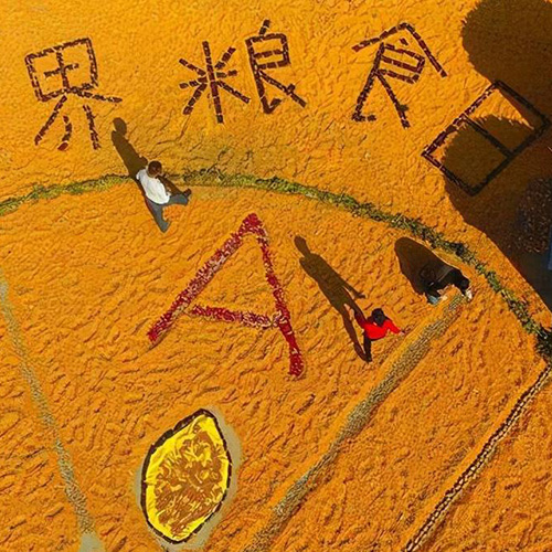 【江南网页版页面登录
机械】